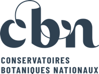 logo CBN BD