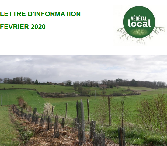 Lettre information 2020