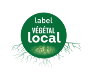 Végétal local