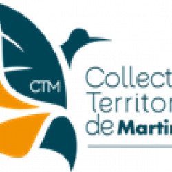 logo CTM