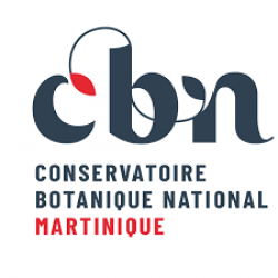 logo CBN Mq