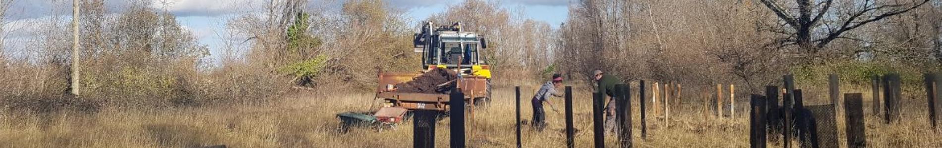 Plantation EDF CNPE Blayais