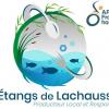 Logo Esat Les étangs de Lachaussée