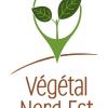 Logo SCIC Végétal Nord Est
