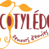 Logo Les Cotyledons