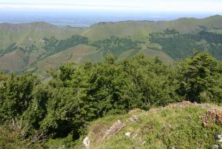 Plaine Abérou Ecot