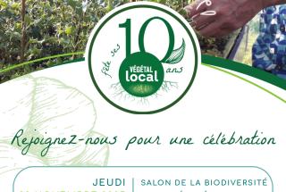 invitation10ans