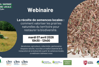 imagewebinairesources