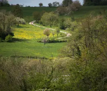 Paysage automnal de bocage à Auboncourt
