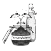 Logo - Les cotylédons