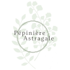 Logo - Pépinière Astragale
