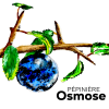 Logo - Pépinière Osmose